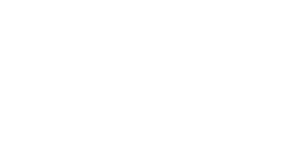 logo bianco - re interface